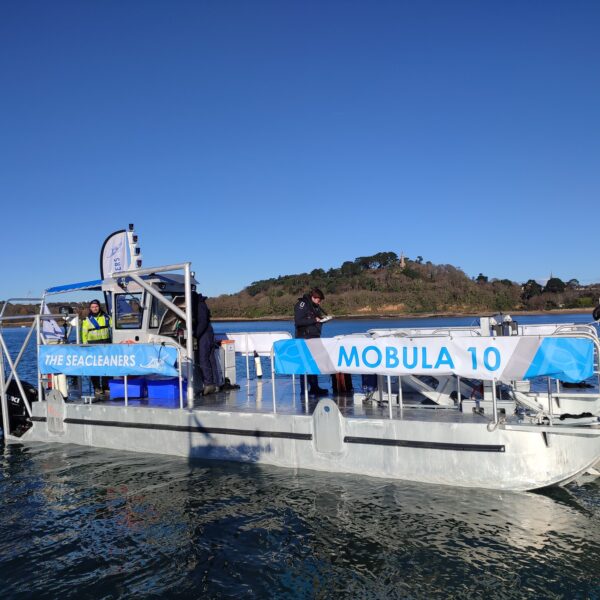 Mobula 10